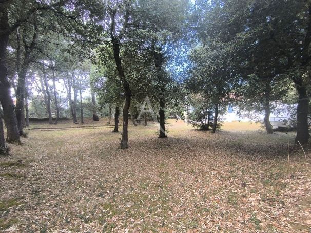 A vendre MAISON  4 PIECES 64 M2 BORD DE MER TALMONT SAINT HILAIRE