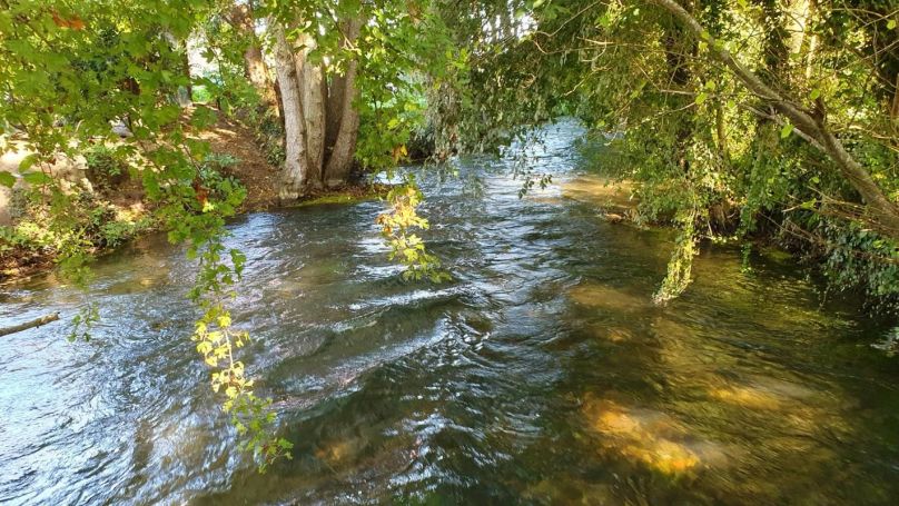 A vendre TERRAIN 2 540 M2  TORCY LE PETIT