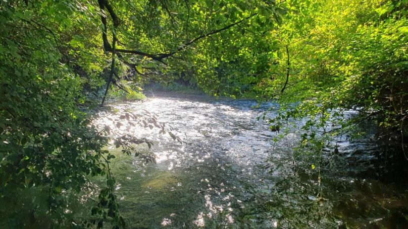A vendre TERRAIN 2 540 M2  TORCY LE PETIT