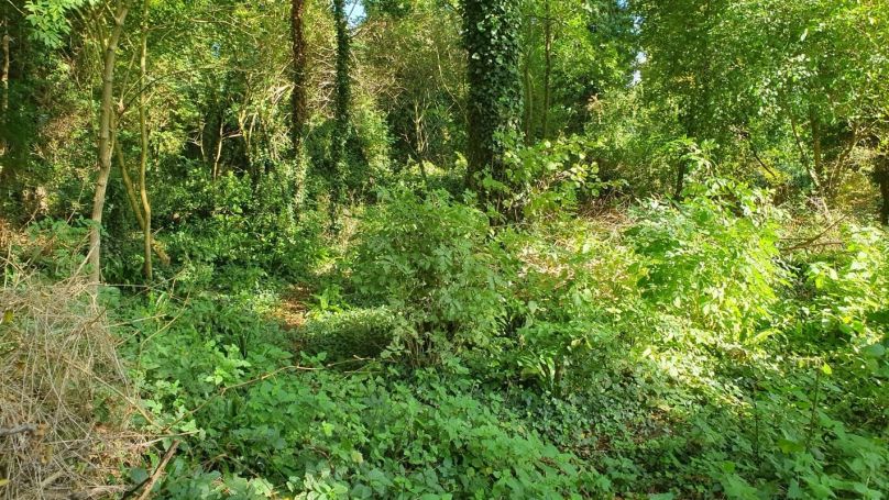 A vendre TERRAIN 2 540 M2  TORCY LE PETIT