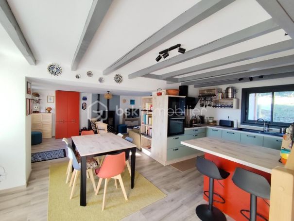 A louer MAISON  3 PIECES 74 M2  SAINT PONS DE THOMIERES