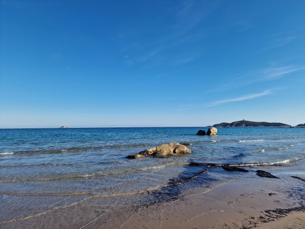 A vendre  Magnifique Propriété 140 M²  Les Hauts de la Testa  ZONZA