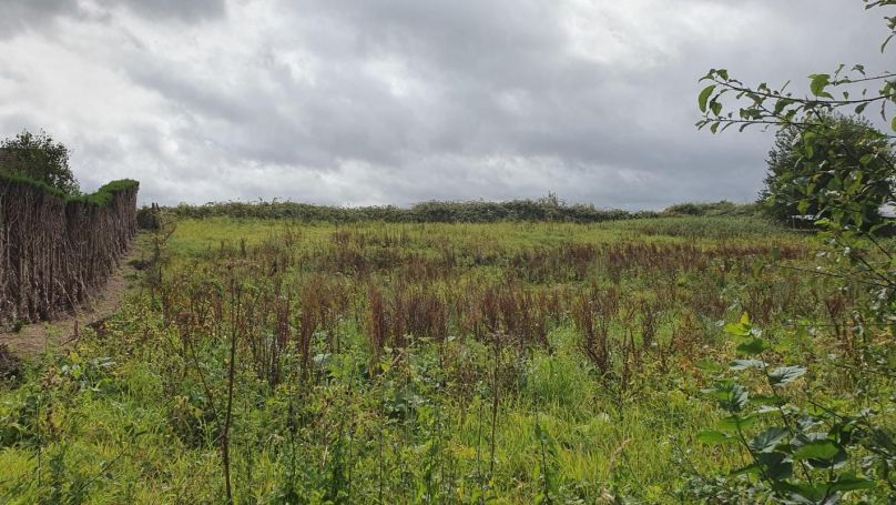 A vendre TERRAIN 1 435 M2  VIEUX MANOIR