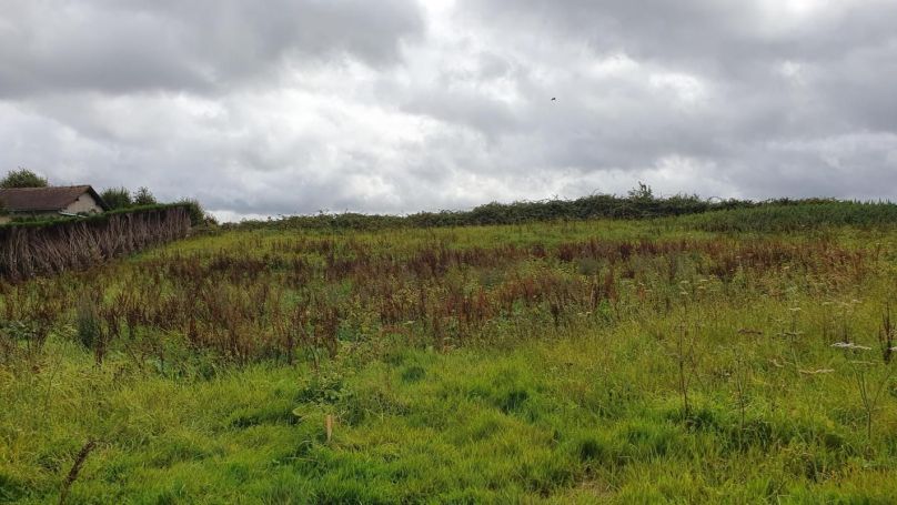 A vendre TERRAIN 1 435 M2  VIEUX MANOIR