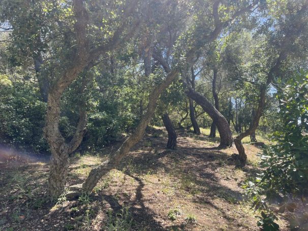 A vendre TERRAIN 8 590 M2 BORD DE MER SIX FOURS LES PLAGES