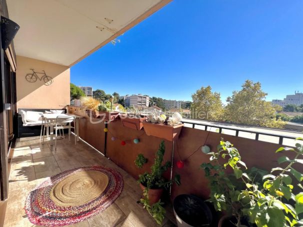 A louer APPARTEMENT T5 81 M2 TERRASSE BORD DE MER LE CANNET