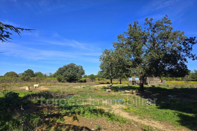 A louer MAISON  4 PIECES 154 M2  LAROQUE DES ALBERES Village