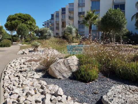 A louer STUDIO  27 M2 TERRASSE BORD DE MER LE GRAU DU ROI