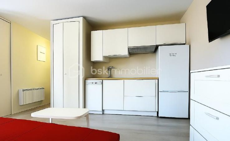 A louer STUDIO  27 M2 TERRASSE BORD DE MER LE GRAU DU ROI