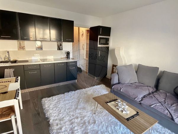 A louer STUDIO  27 M2 TERRASSE VUE MER CANNES