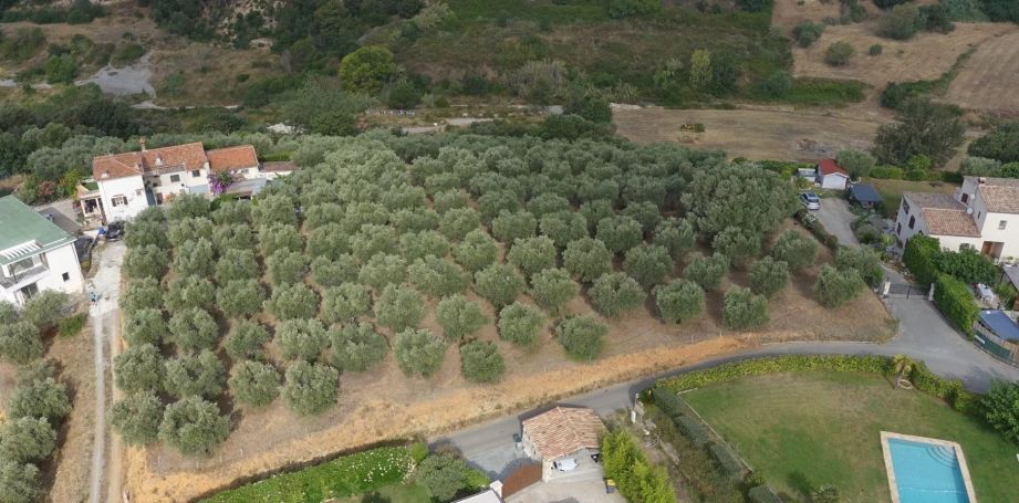 A vendre Somptueux ET Unique Terrain constructible avec vue Panoramique  CAGNES SUR MER