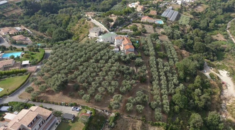 A vendre Somptueux ET Unique Terrain constructible avec vue Panoramique  CAGNES SUR MER