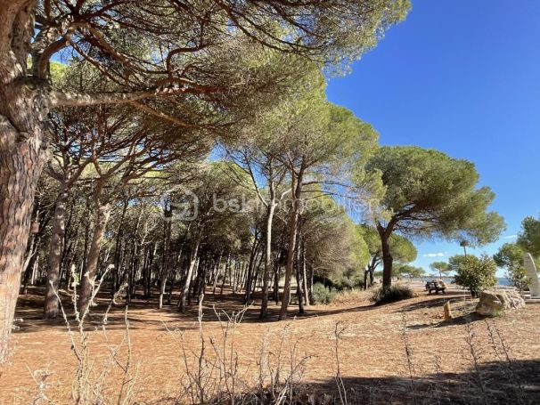 A louer APPARTEMENT T2 28 M2 BORD DE MER LA GRANDE MOTTE