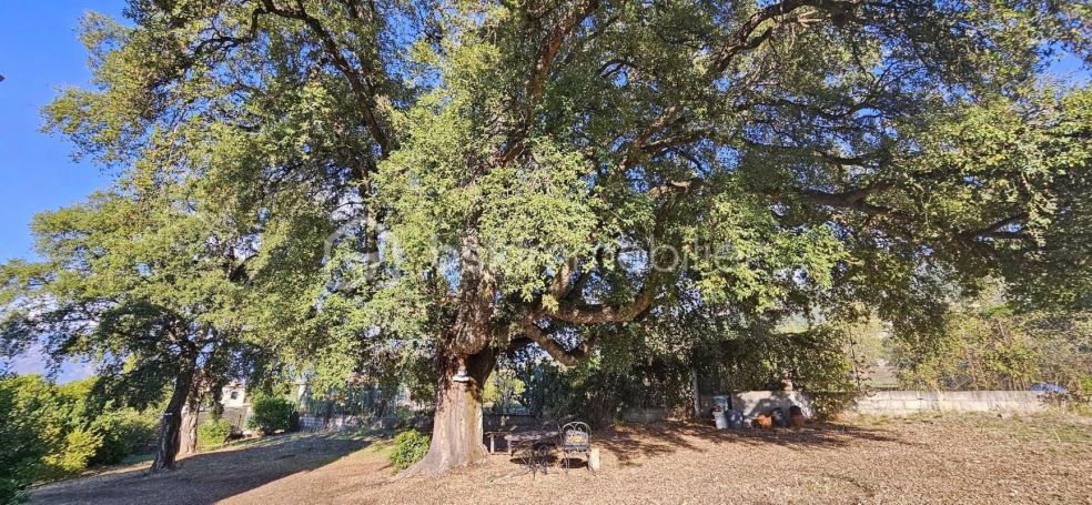 A louer MAISON  5 PIECES 157 M2  CUTTOLI CORTICCHIATO