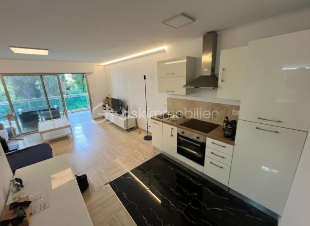 A louer STUDIO  32 M2 TERRASSE BORD DE MER CANNES