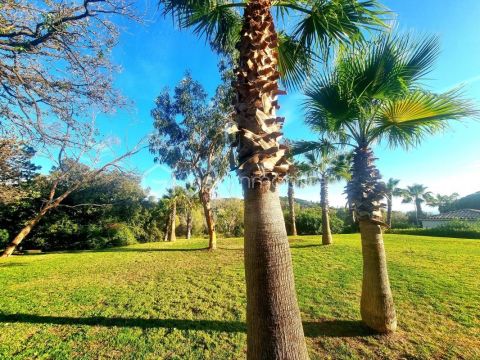 A louer STUDIO 28 M2 TERRASSE BORD DE MER LE CANNET
