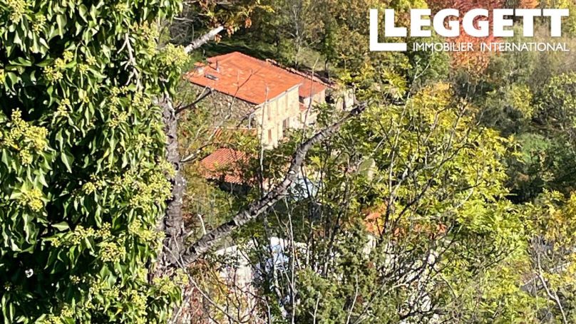 A vendre GîTE  MONTFERRER