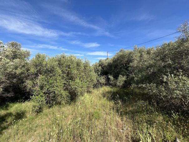 A vendre TERRAIN CONSTRUCTIBLE 617 M²  LA CIOTAT