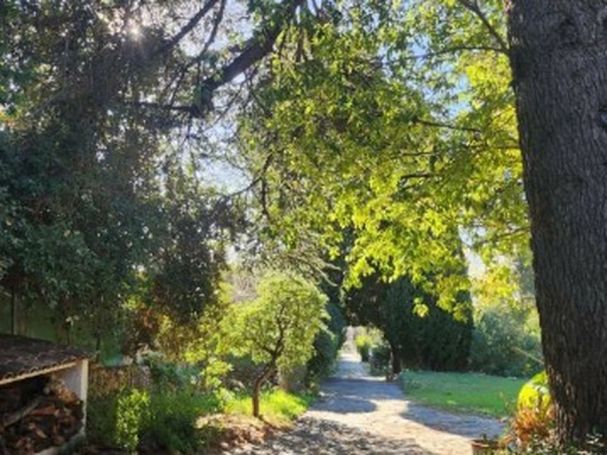 A vendre MAISON  6 PIECES 264 M2 BORD DE MER TOULON