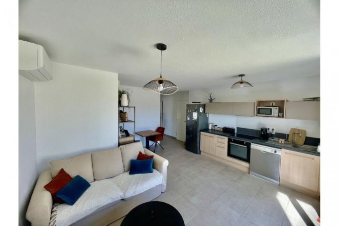 A louer APPARTEMENT T2 46 M2 TERRASSE  CASTELNAU LE LEZ