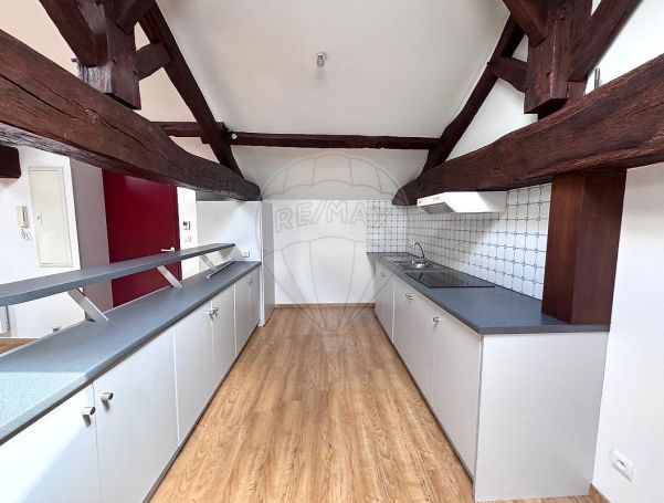 A louer LOFT T2 84 M2  LANGON