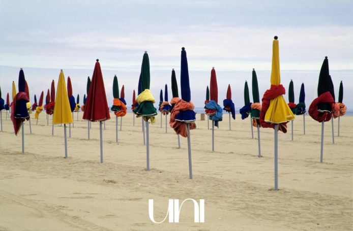 A louer APPARTEMENT T2 32 M2 BORD DE MER DEAUVILLE