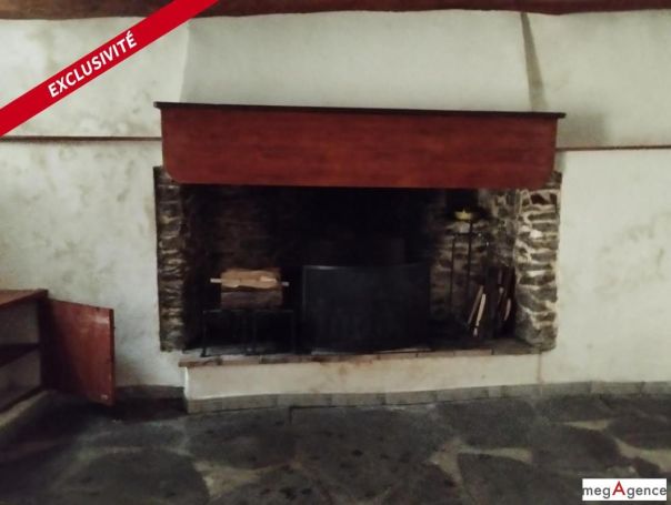 A louer MAISON  DE MAîTRE  SAINT ANDRE DE VALBORGNE