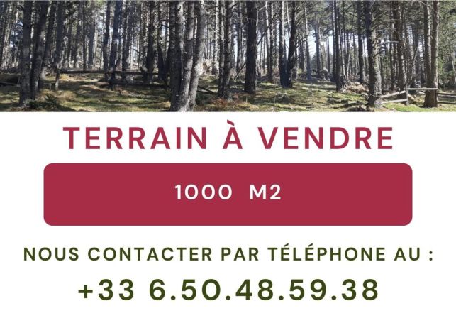 TERRAIN 1 000 M2 1 000 M2  FORMIGUERES