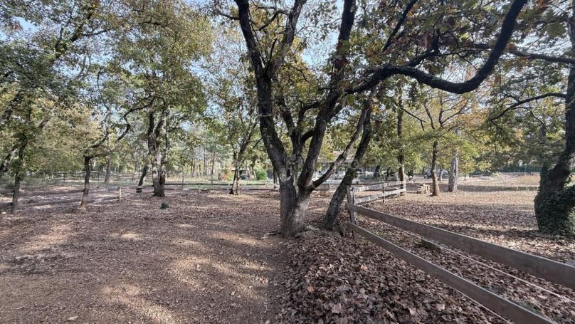 A louer MAISON  7 PIECES 180 M2  TOURRETTES