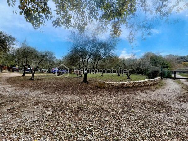 A louer MAISON  DE MAîTRE  MILHAUD