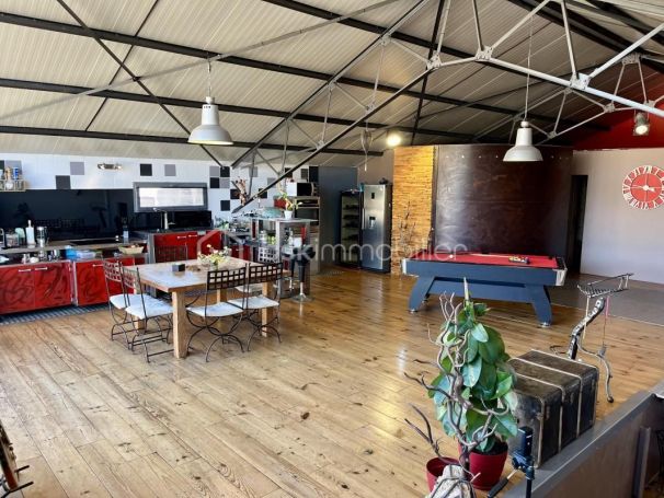 A vendre LOFT  147 M2 TERRASSE  ILLE SUR TET
