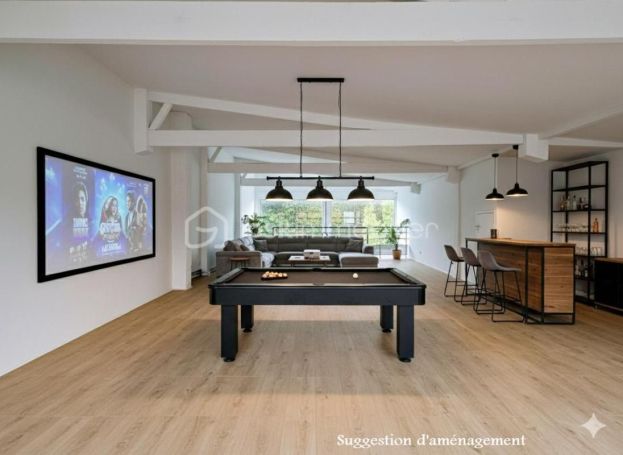 A vendre LOFT  7 PIECES 172 M2  MERICOURT