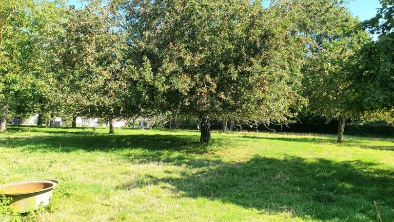 A vendre LONGERE  5 PIECES 105 M2  SAINTE FOY