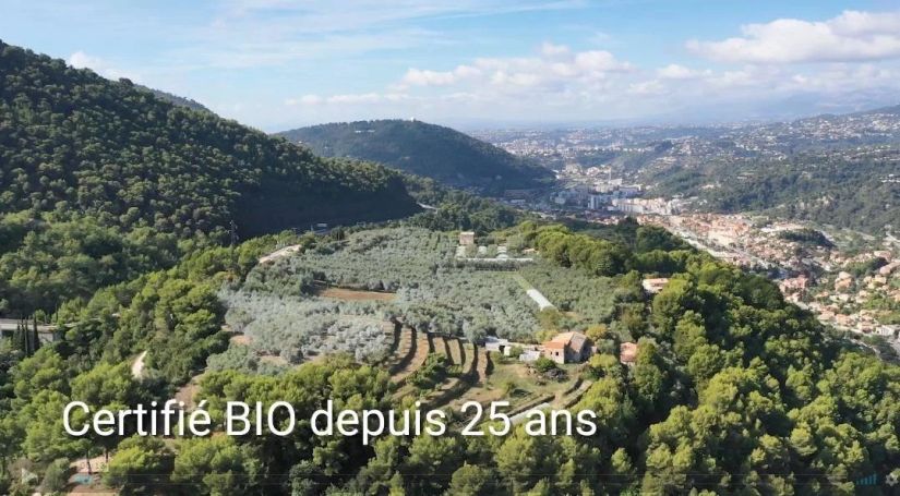 A louer PENTHOUSE DE PRESTIGE T6 PIEDS DANS L'EAU LA TRINITE