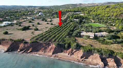 A louer PENTHOUSE DE PRESTIGE  PIEDS DANS L'EAU PETROTHALASSA