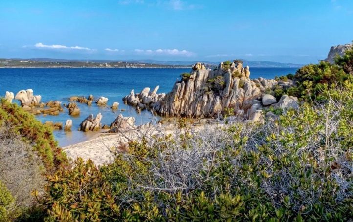 A louer APPARTEMENT DE PRESTIGE T2 39 M2 PIEDS DANS L'EAU PIANOTTOLI CALDARELLO