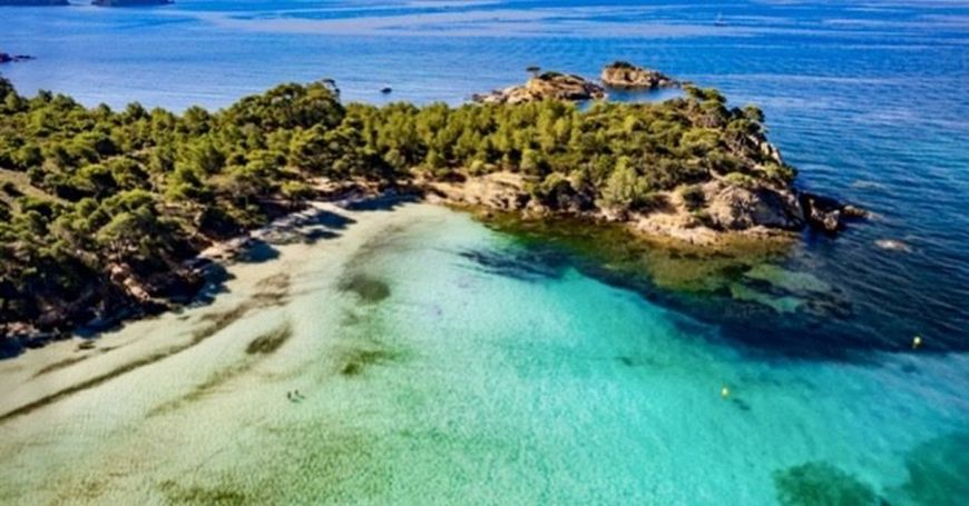 A louer APPARTEMENT T2 41 M2 TERRASSE BORD DE MER BORMES LES MIMOSAS