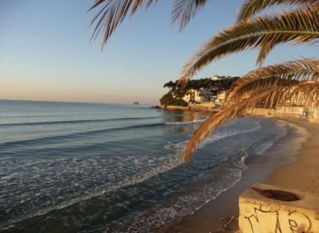 A louer APPARTEMENT DE PRESTIGE T3 61 M2 TERRASSE BORD DE MER LA SEYNE SUR MER