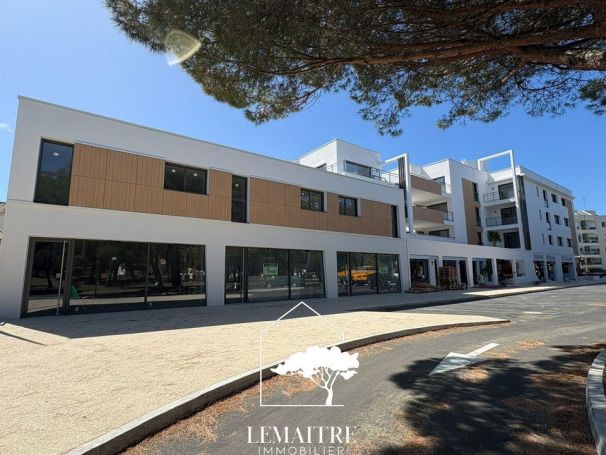 A louer APPARTEMENT DUPLEX T4 112 M2 TERRASSE BORD DE MER LA PALMYRE