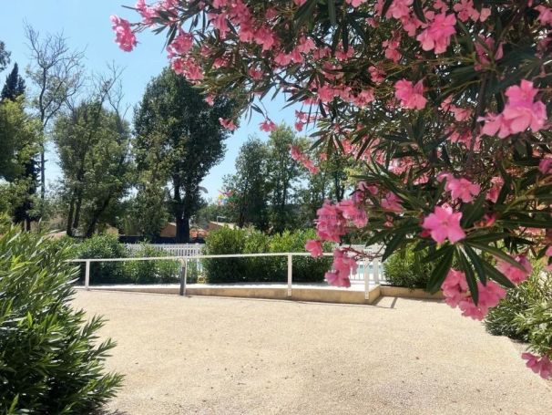 A louer APPARTEMENT T2 32 M2  SAINT REMY DE PROVENCE