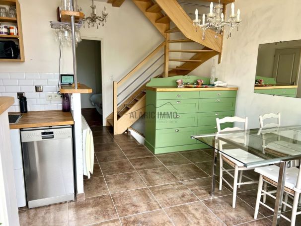 A louer MAISON  DE MAîTRE  ALBAS