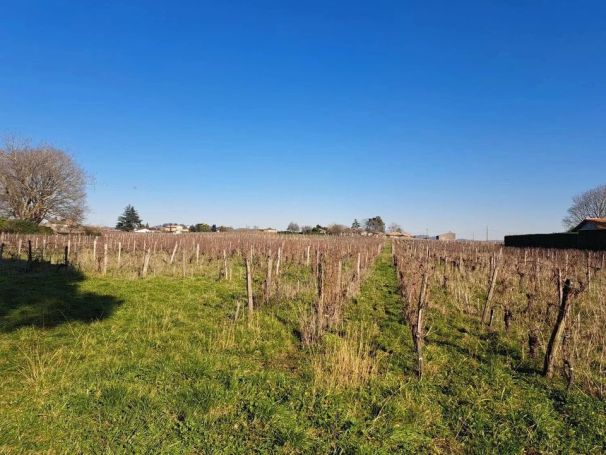 A louer GîTE  SAINT EMILION