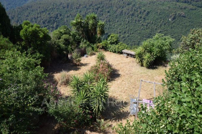 A louer MAISON  DE MAîTRE  SAINT CEZAIRE SUR SIAGNE