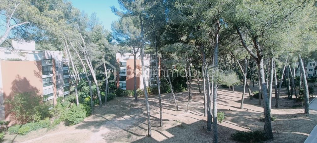 A louer APPARTEMENT T3 67 M2 BORD DE MER LA SEYNE SUR MER