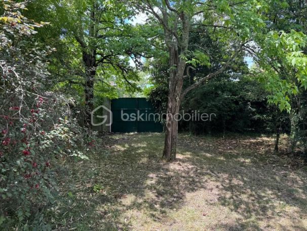 A louer MAISON  DE MAîTRE  SAINT SEURIN SUR L ISLE