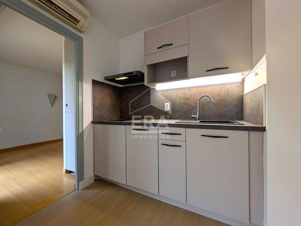 A louer APPARTEMENT T2 42 M2 TERRASSE BORD DE MER CROS DE CAGNES