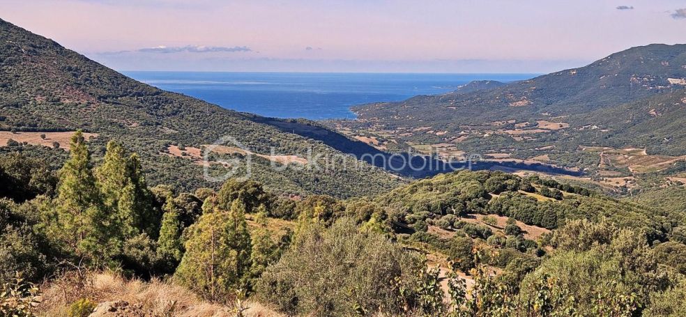 A louer MAISON  4 PIECES 150 M2 BORD DE MER PROPRIANO