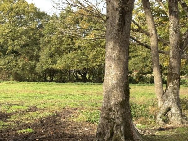 A louer APPARTEMENT T6 110 M2  NANTES