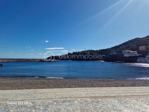 A louer APPARTEMENT DE PRESTIGE T3 61 M2 TERRASSE VUE MER CERBERE