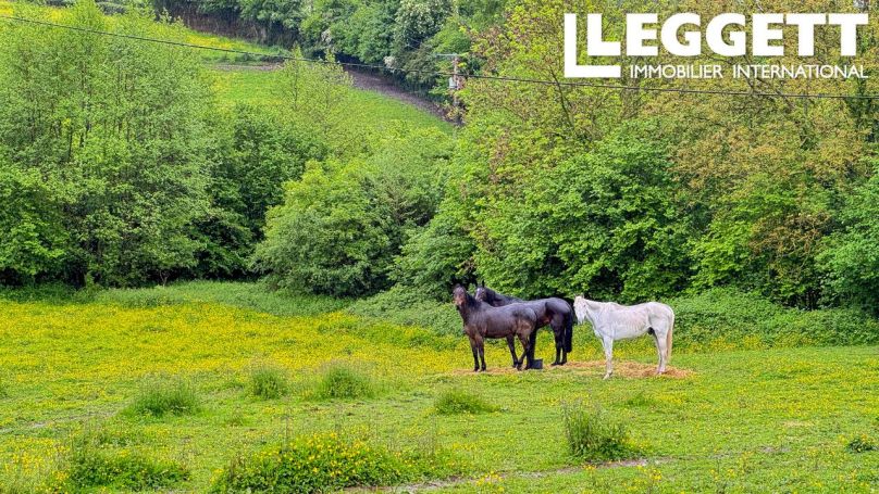 A louer MAISON  DE MAîTRE  LONGMESNIL